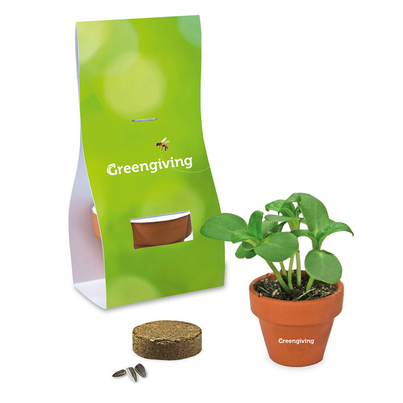 Mini Blumentopf mit Samen | Öko Geschenk